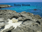 02Rocky Shores