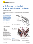 groin hernias: mechanical anatomy and ultrasound evaluation