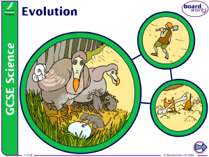 4. Evolution by Boardworks MA File