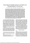 Retinal pigment epithelial lipofuscin and melanin and