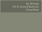 Ap. biology ch. 51 Animal behavior doug ruby