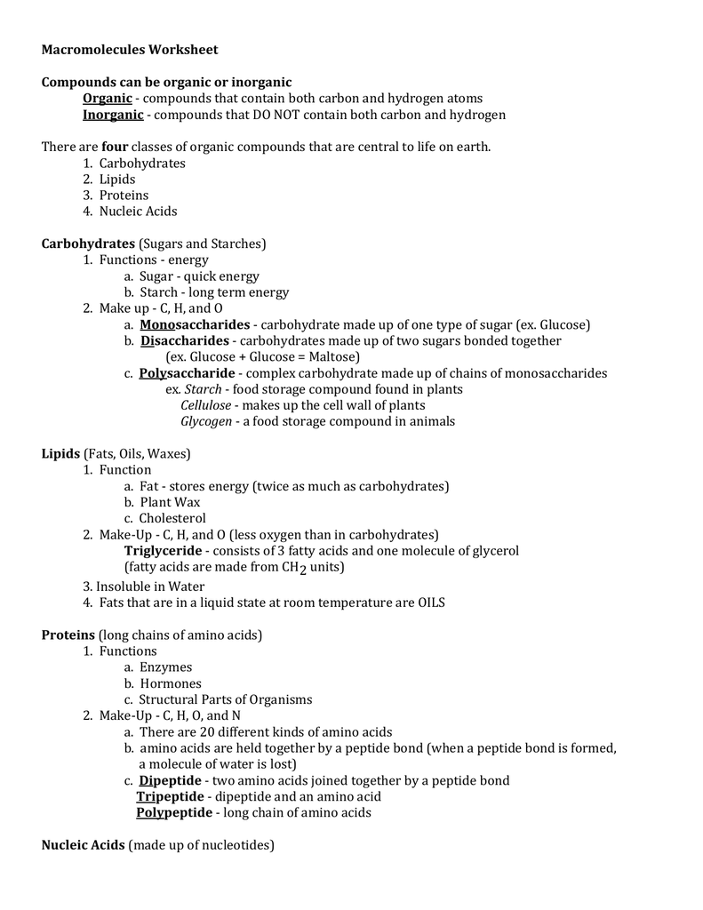 Carbohydrates Lipids Proteins Nucleic Acids Worksheet Worksheet List