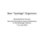 Beer Spoilage Organisms