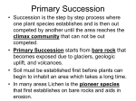 Primary Succession - Summit School District