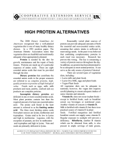 High Protein Alternatives