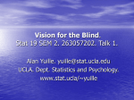 Computer Vision Systems for the Blind and Visually Disabled.