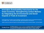 Carbon markets as a sustainable development challenge
