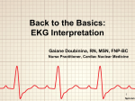 Back to the Basics: EKG Interpretation