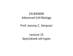12 Specialised Cells
