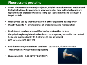 Fluorescent proteins Green Fluorescence Protein