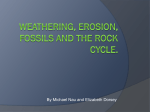 Weathering, erosion, fossils and the rock cycle.