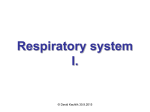 Respirační systém