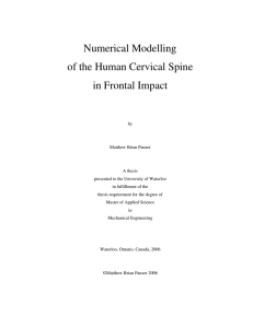 Numerical Modelling of the Human Cervical Spine in Frontal Impact