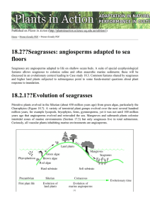 18.2??Seagrasses: angiosperms adapted to sea floors 18.2.1