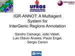 IGR-ANNOT: A Multiagent System for InterGenic - Inf