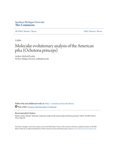 Molecular evolutionary analysis of the American pika