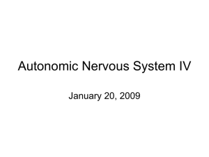 Autonomic Nervous System IV