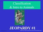 Classification Jeopardy #1