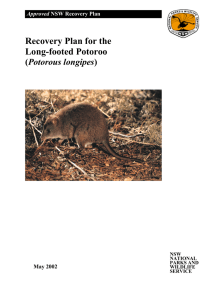 Long-footed potoroo - recovery plan (PDF