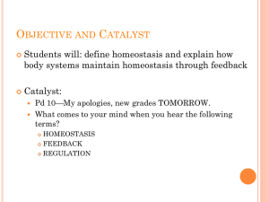 Homeostasis