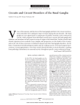 Circuits and Circuit Disorders of the Basal Ganglia