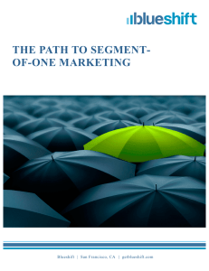 the path to segment- of-one marketing