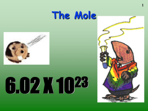 The Mole - Montezuma Schools