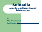 Annelids, Arthropods, and Echinoderms