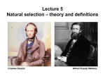 Lecture 5 Natural selection – theory and definitions