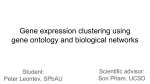 Gene expression clustering using gene ontology and biological