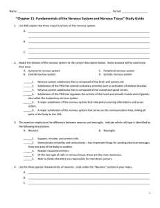 Chapter 11: Fundamentals of the Nervous System and Nervous Tissue