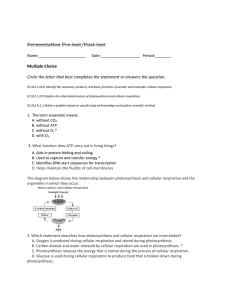 Fermentation Pre-test/Post-test