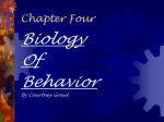 Chapter Four