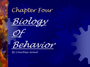 Chapter Four