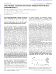 Drug-containing coordination and hydrogen bonding networks