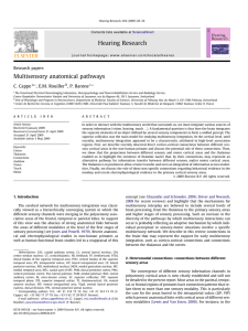 Multisensory anatomical pathways - Centre de Recherche Cerveau