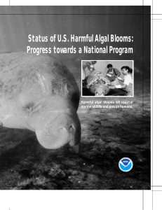 Status of US Harmful Algal Blooms