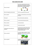 FOOD CHAINS STUDY GUIDE