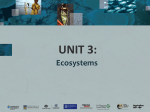 Unit 3 (Ecosystems)