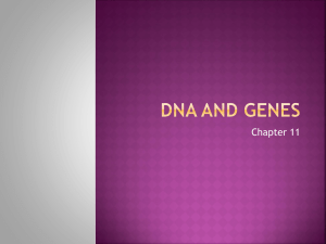 DNA and Genes - Buckeye Valley