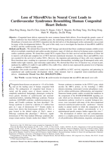 Loss of MicroRNAs in Neural Crest Leads to Cardiovascular