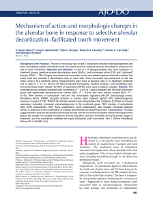 Mechanism of action and morphologic changes in the alveolar bone