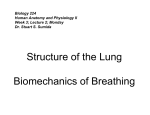 Structure of the Lung Biomechanics of Breathing