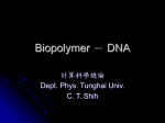 DNA 簡介