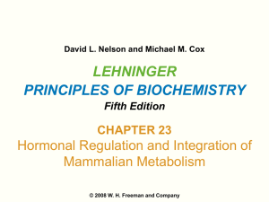 Lehninger Principles of Biochemistry 5/e