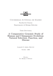 A Comparative Genomic Study of Human and Chimpanzee