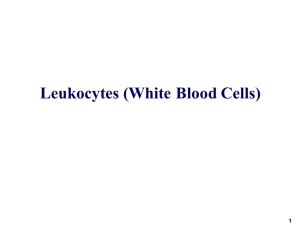 Leukocytes (White Blood Cells)