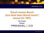 brexit-means-brexit_preiskel-co