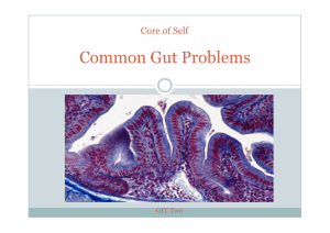 Common Gut Problems