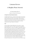 A BingBee Phone Network - Computer Science
